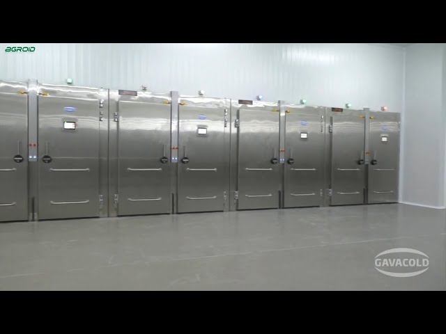 Gavacold компания производящая пекарский холод. Давайте знакомиться Gavacold. смотреть онлайн