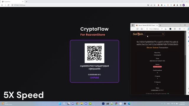 My Own Python/Flask Crypto Payment Gateway. User POV смотреть онлайн