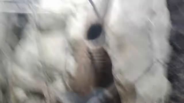 Океанариум в сочи смотреть онлайн