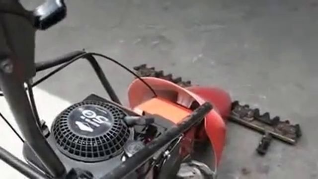 My Edited Video смотреть онлайн