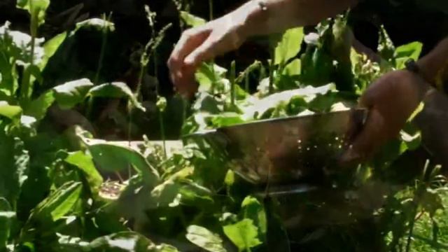 The Yoga Cook Promo.wmv