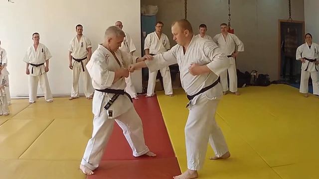 04 05 2019 Россия Новосибирск семинар Киокушин Будокай кан Канчо Астафьев Георгий смотреть онлайн