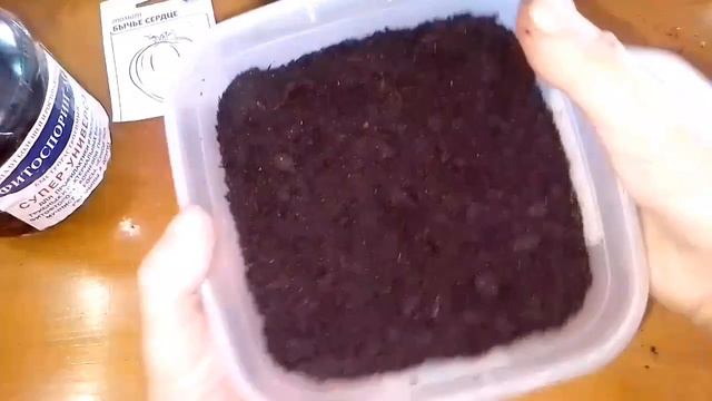 СЕЕМ 3 СОРТА ТОМАТОВ смотреть онлайн