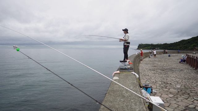 アジを釣ってぶっこみ泳がせ釣り смотреть онлайн