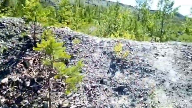 Лазурный,Тритон и Хургада смотреть онлайн