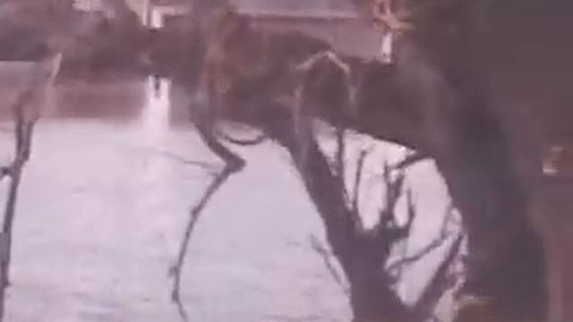 мордовия.ичалки.река алатыря 2012. смотреть онлайн