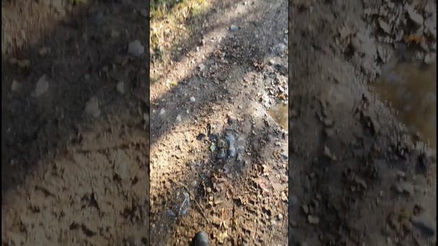 Графство Норфолк,р мская дорога,1600 лет о ней помнят,чудний ландшафт. смотреть онлайн