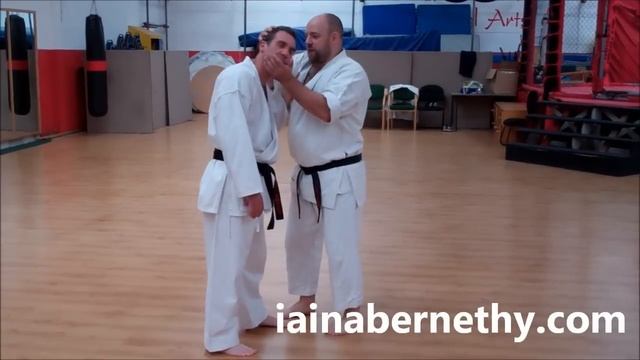 Practical Kata Bunkai: Wanshu / Enpi Opening Sequence смотреть онлайн
