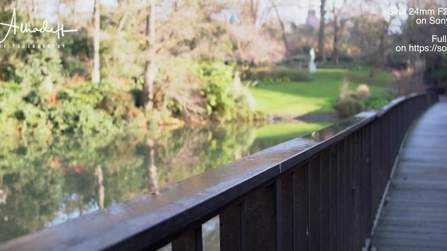 Sirui 24mm F2 8 Anamorphic On Sony A6600