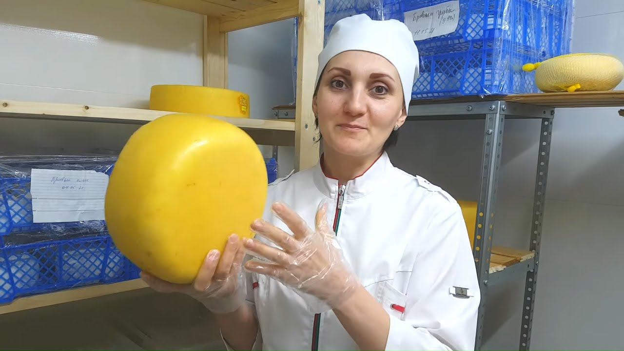 Как сделать сыр / Сыр Манчего с шафраном ( по мотивам рецептуры ) / Мастер класс по сыроделию смотреть онлайн