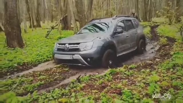Выезд в весенний лес после дождя. смотреть онлайн