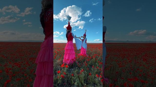 Маковое поле #алматинская_область смотреть онлайн