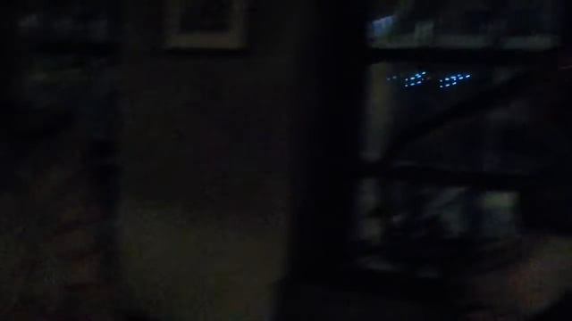 Обезьянки, попугаи , хорьки , кенгуру на праздник - 8(965)380-13-11, Москва