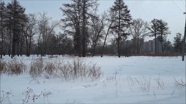Погода каждый день Иркутск, Irkutsk, 21.02.2018. Снег. ЦПКиО смотреть онлайн