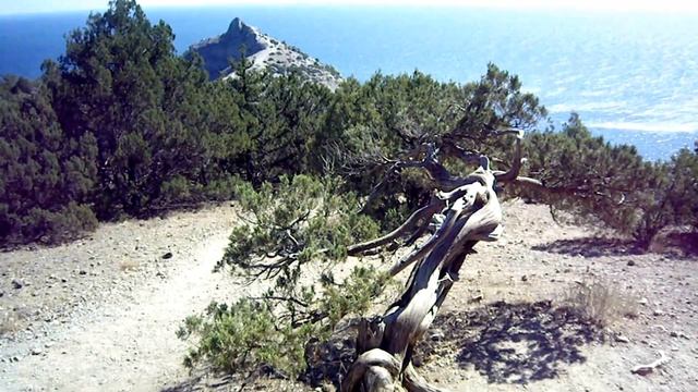 КРЫМ. Веселое- Караул-Оба- Новый Свет П.В.Д. Сентябрь 2019 смотреть онлайн