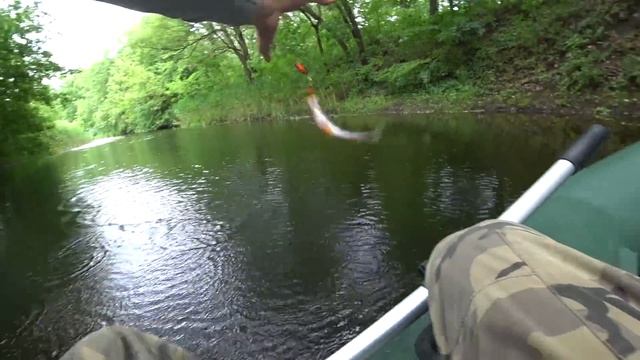 Рыбалка на блесну в зарослях кувшинок. На эту приманку поклевка за поклевкой! смотреть онлайн