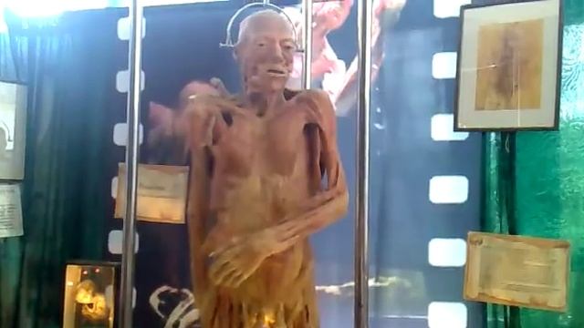 Кунсткамера-выставка в Мелитополе.mp4 смотреть онлайн