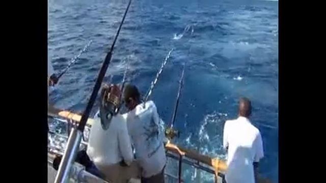 Рыбалка на Сейшельских островах смотреть онлайн