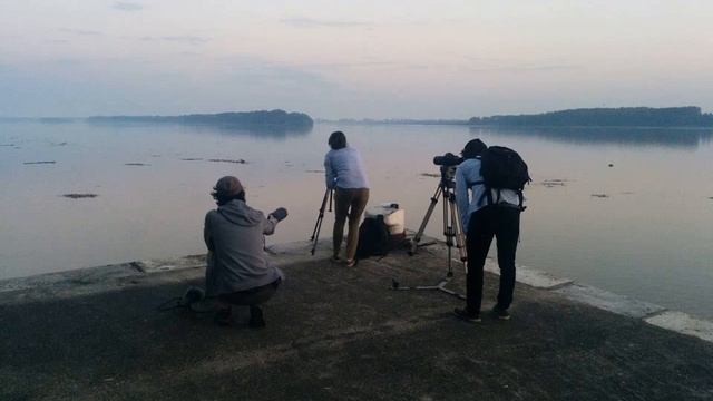 За река Дунав и пътуващата журналистика, част 3 смотреть онлайн