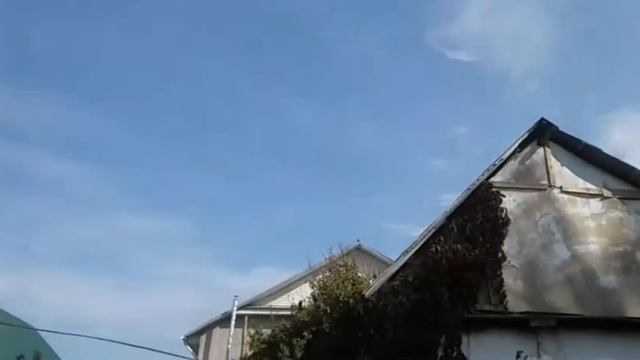 Ко мне наведывается тетеревятник. Мои лохманогие голуби КЗ. A goshawk comes to see me. смотреть онлайн