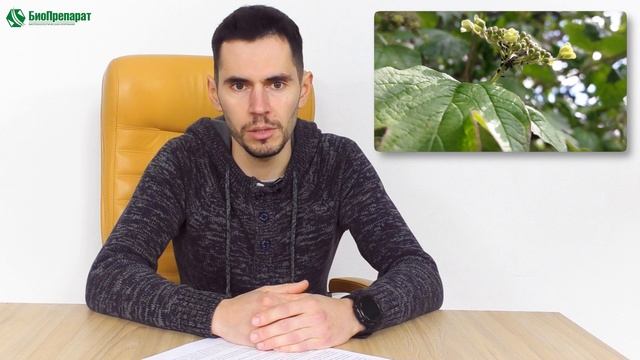 Авермектины и Эмамектины в биологических инсектицидах Planteco. Назначение, принцип действия. смотреть онлайн