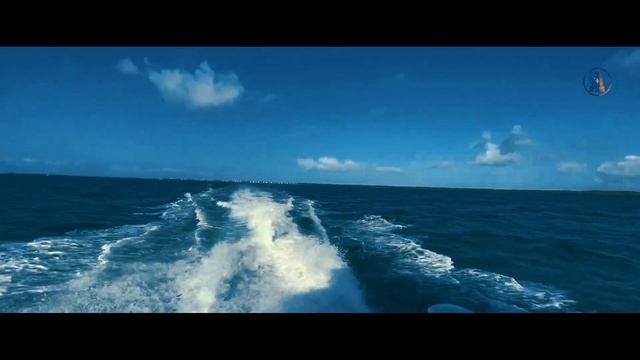 ФЛОРИДА КИС: Отдых в США | Ки Уэст Флорида | Путешествие по Америке