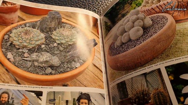 I've Finally Joined the BCSS | British Cactus & Succulent Society | Welcome Pack смотреть онлайн