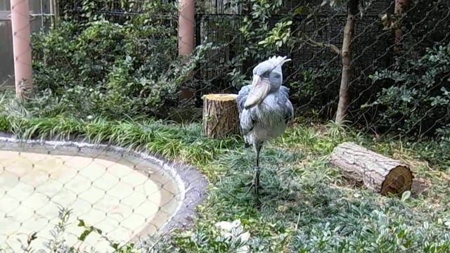 Китоглав смотреть онлайн