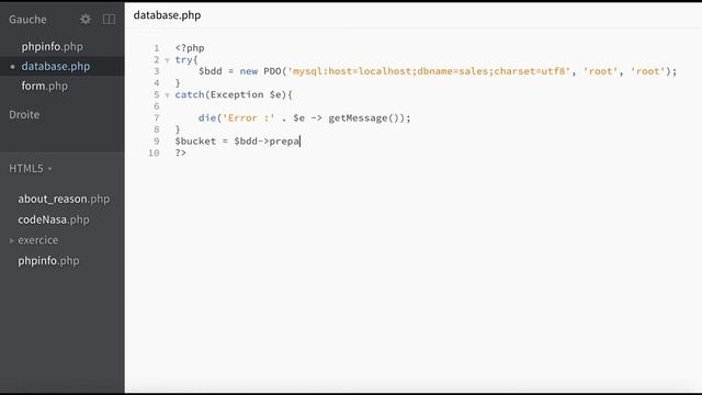 Query data from a database using a prepared SQL request with PHP смотреть онлайн