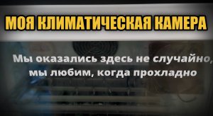 МОЯ КЛИМАТИЧЕСКАЯ КАМЕРА