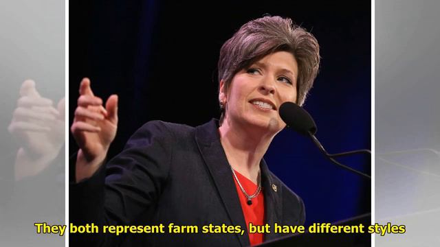Sens. Ernst, Fischer Aiming for GOP Leadership Post WorldTimes Now смотреть онлайн