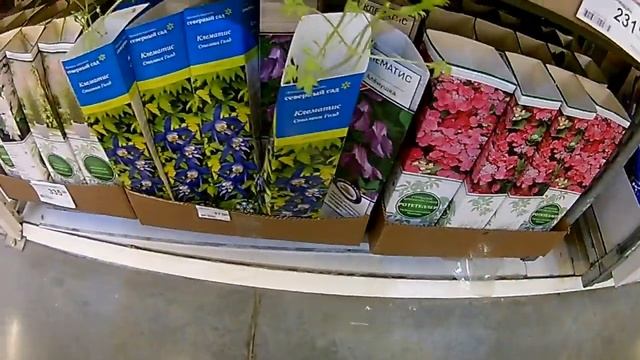 Леруа Мерлен апрель 2019!!!! Садовая мебель,цветы , кустарники!!!!!! смотреть онлайн