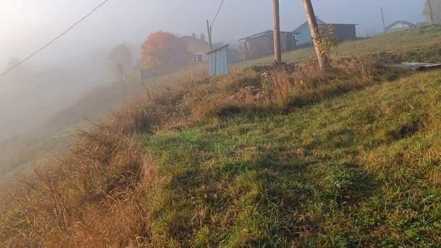 Будни Олега. Заморозки и туман. Гора. Собираюсь за грибами.
