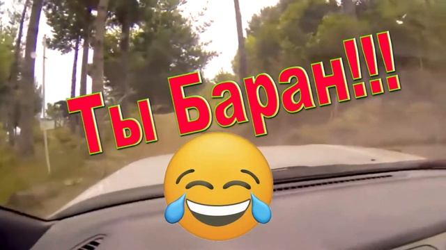 Самое интересное видео про Баранов! БАРАНЫ В ДЕЛЕ.