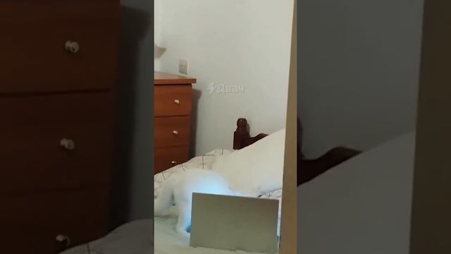 Когда пытаешься быстро почистить историю браузера))) смотреть онлайн