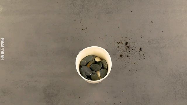 Очаровательный ВЕСЕННИЙ ДЕКОР Своими Руками ?? DIY Идеи с Живыми Цветами смотреть онлайн