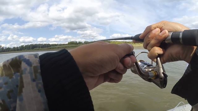 ПОД ЭТОЙ ДРОВИНОЙ ЖИВУТ ОДНИ МОНСТРЫ!!!!Трофейная рыбалка !!!Ловля щуки! смотреть онлайн