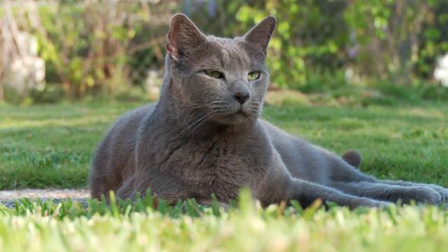 Завидуй а я буду ОТДЫХАТЬ смотреть онлайн