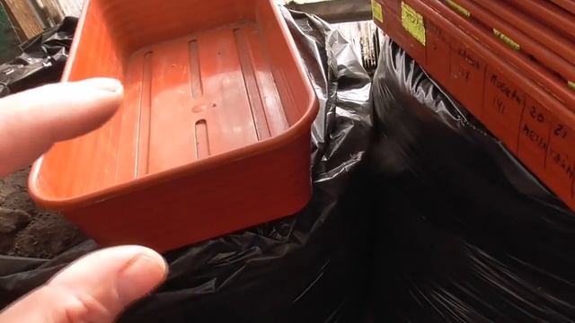 ЛОТКИ ДЛЯ РАССАДЫ - КАКИЕ ВЫБРАТЬ? Ольга Чернова. смотреть онлайн