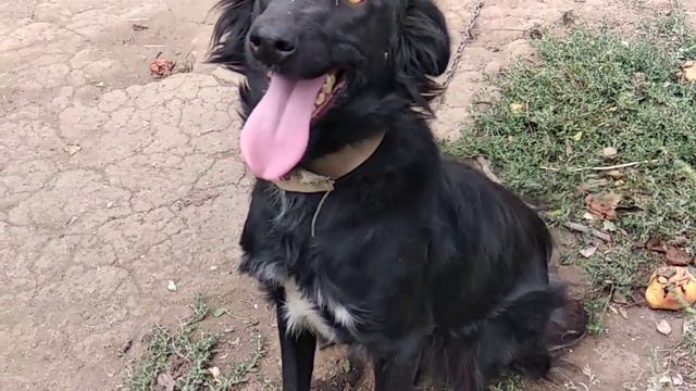 СЯОМИ редми 5 плюс,замедленная сьёмка смотреть онлайн