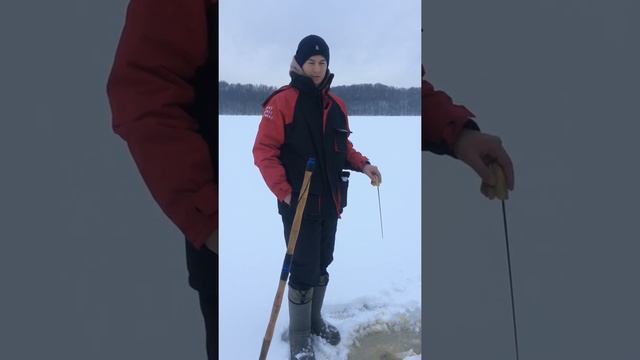 Спортивный окунь смотреть онлайн