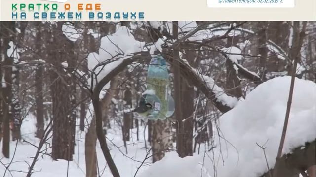 Мастер-класс кормушка для птиц из пластиковых бутылок. NOVA-2X смотреть онлайн