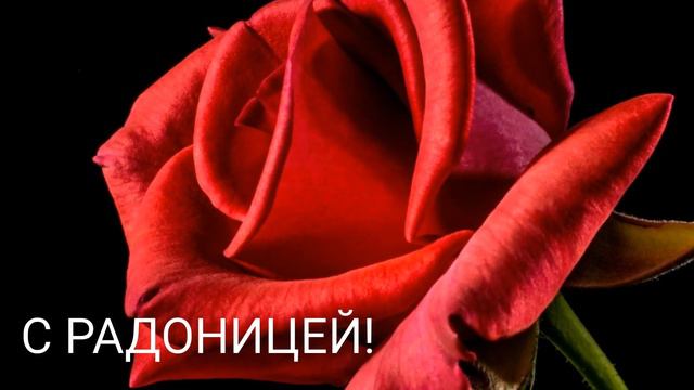 С РАДОНИЦЕЙ! ОТКРЫТКА С РАДОНИЦЕЙ! РАДОНИЦА | МУЗЫКАЛЬНАЯ ОТКРЫТКА С РАДОНИЦЕЙ смотреть онлайн