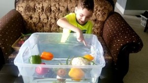 Sink Or Float ,Fruits & Vegetables