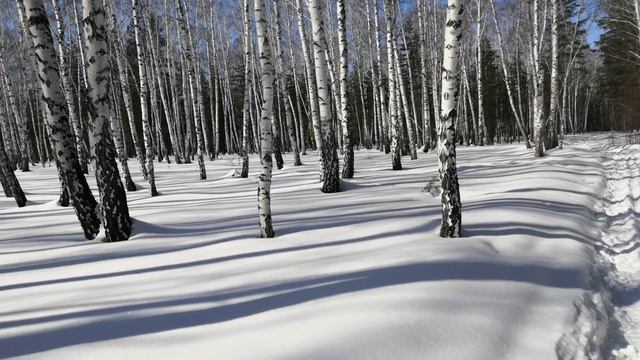 Блаженство - я на лыжне .