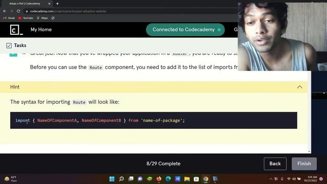 step 4 of 29 Creating Your First Route Adopt a pet! Codecademy JavaScript смотреть онлайн