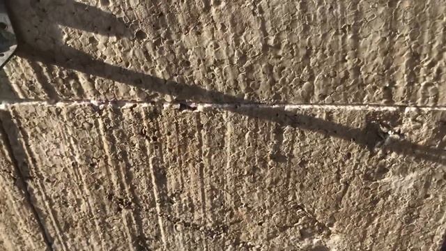 Зимний Курятник для несушек за 1 день из пенопласта, как быстро построить своими руками смотреть онлайн