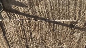 Зимний Курятник для несушек за 1 день из пенопласта, как быстро построить своими руками