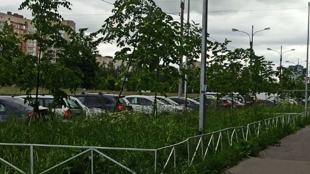 МОЙ ПУТЬ В СОСЕДНИЙ ДВОР