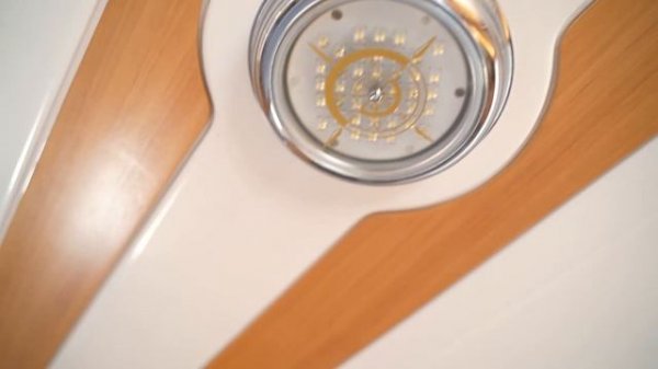 2_5316999238469557037.mp4